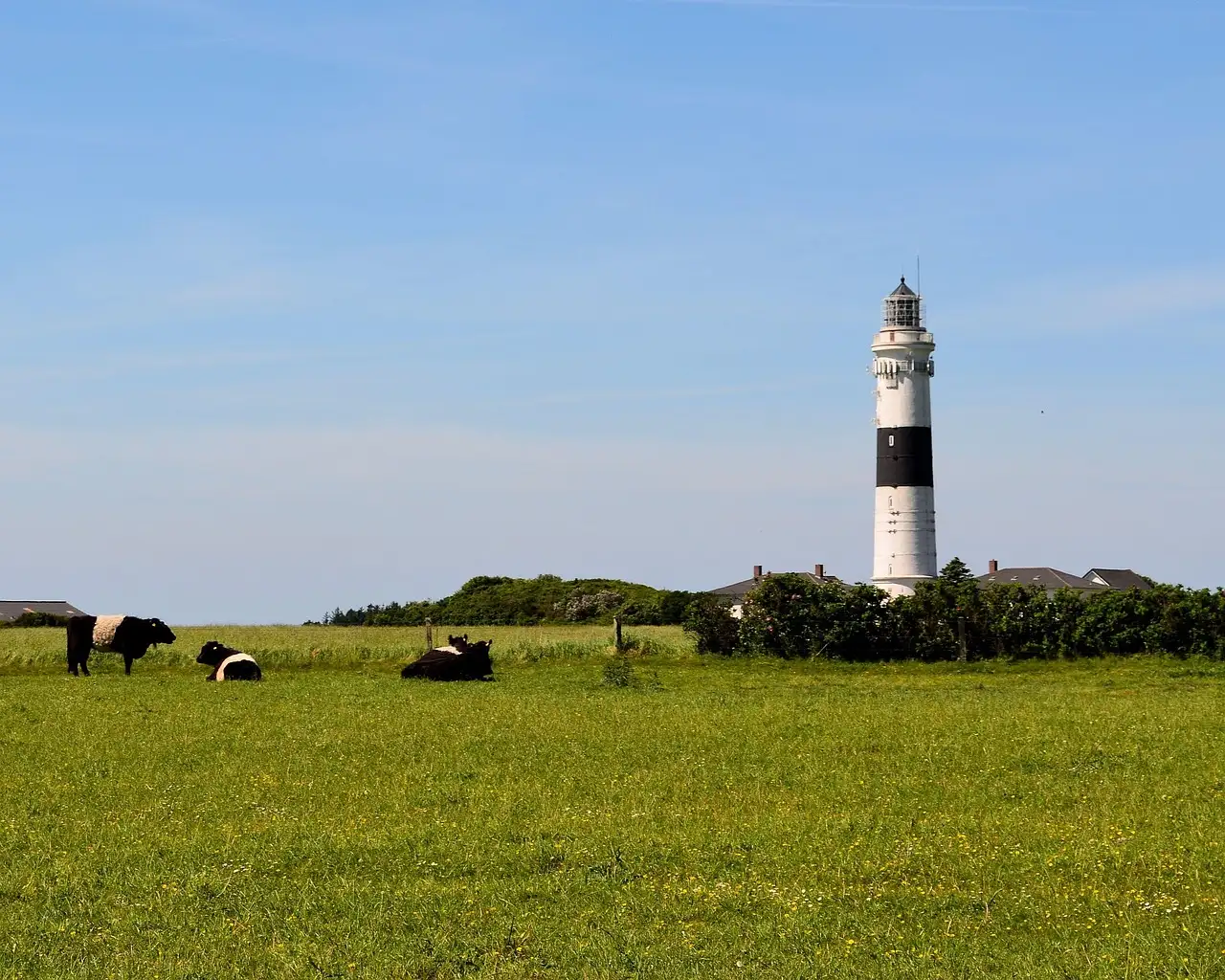 De groene vlinder kampen: Ontdek de mooiste avonturen