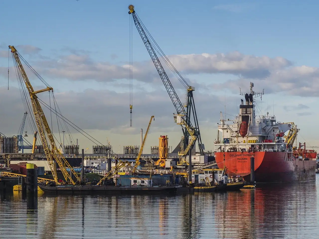 De Vlinder Rotterdam: Informatie en Openingstijden