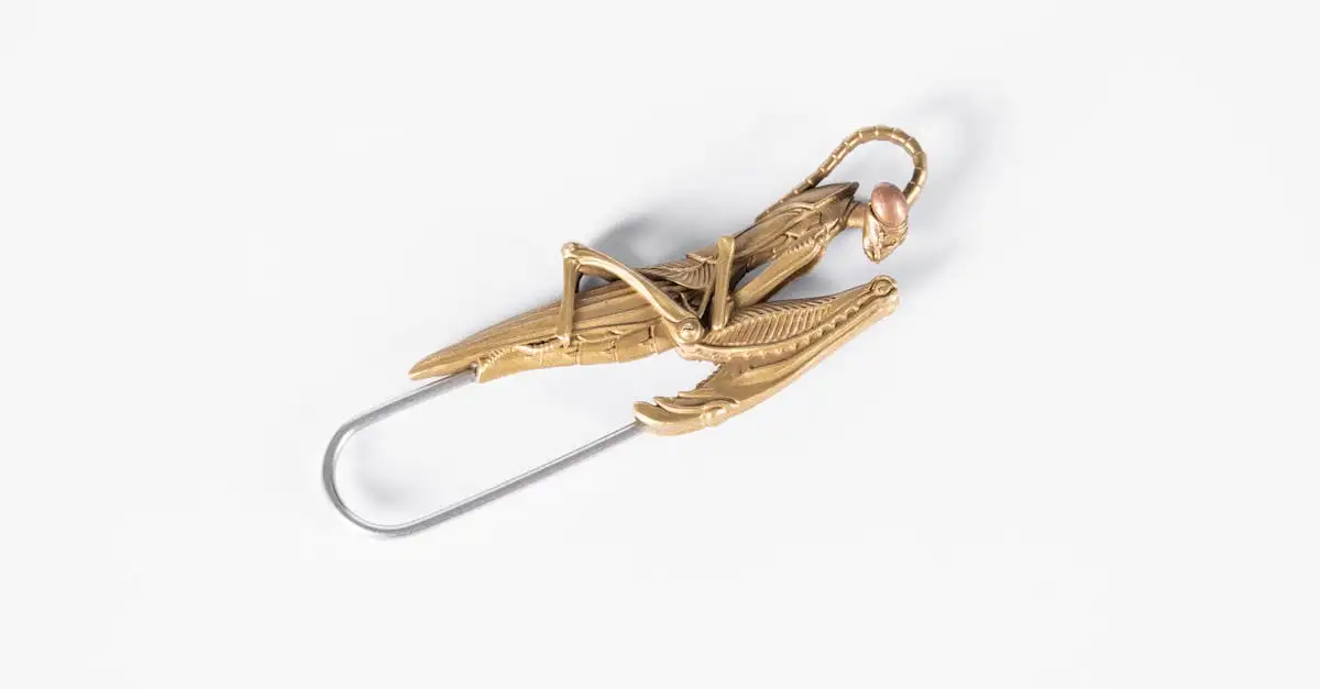 Vlinder broche kopen? Ontdek onze prachtige collectie