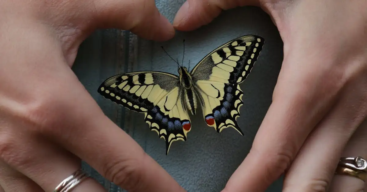 Koninginnenpage vlinder: ontdek deze prachtige insecten