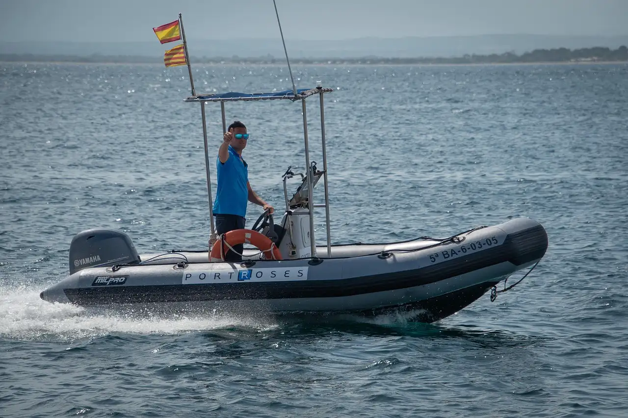 Vlinder Spaanse Vlag Kopen en Verzorgen | Informatie