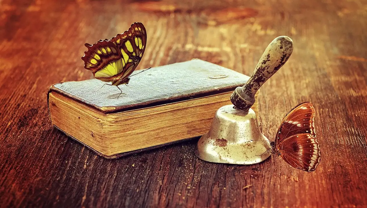 Prachtig vlinders boek kopen voor de beste prijs