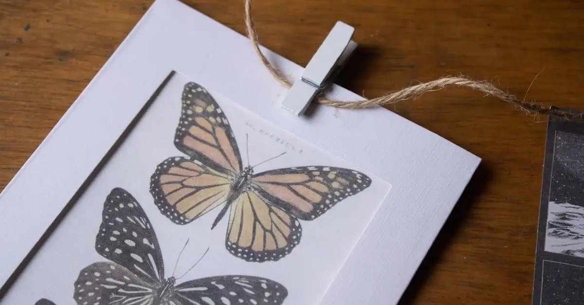 Vlinders illustratie: prachtige ontwerpen en afbeeldingen